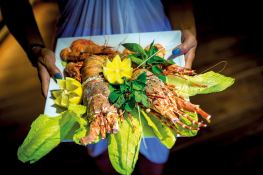 Custom Motoryacht 50M 18