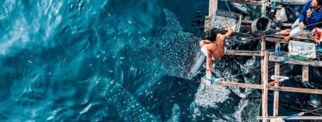 Custom Motoryacht 50M 8