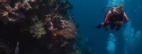 Custom Motoryacht 50M 22