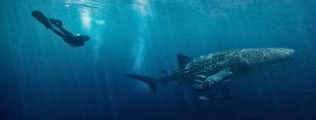 Custom Motoryacht 50M 3