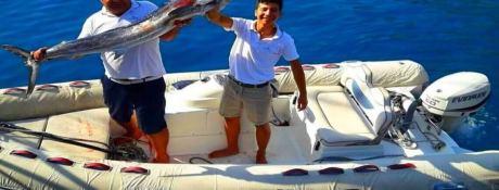 Albatros Marina Gulet 36m 7