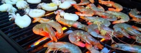 Albatros Marina Gulet 36m 15