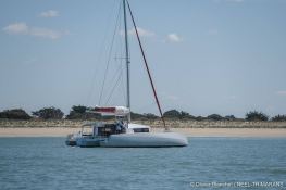 Neel Trimarans Neel 43 6