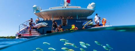 Custom Catamaran 25m 9