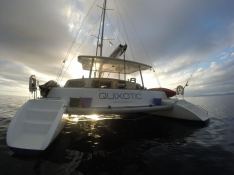 Voyage Catamaran Voyage 430 5