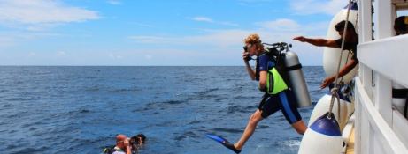 Custom Honors Legacy 33m 12