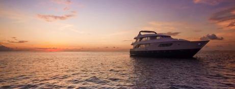 Custom Honors Legacy 33m 13