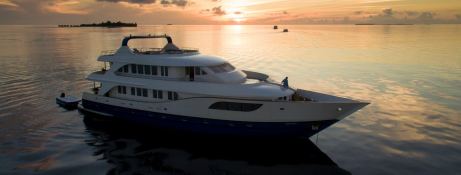 Custom Honors Legacy 33m 1