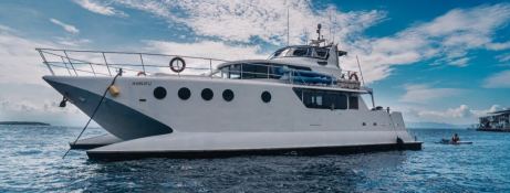 Custom Power Cat 73 0