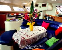 Robertson & Caines Leopard  47 8