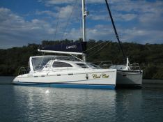 Robertson & Caines Leopard  42 0