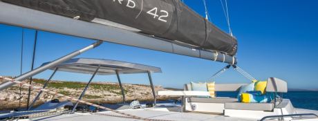 Robertson & Caines Leopard  42 10