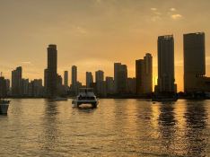 Robertson & Caines Leopard  Power 514 3