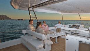 Robertson & Caines Leopard  Power 514 6