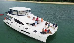 Robertson & Caines Leopard  Power 514 0