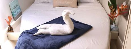 Robertson & Caines Leopard  Power 514 14