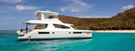 Robertson & Caines Leopard  Power 514 2