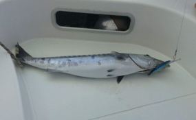 Fountaine Pajot Bahia 46 10