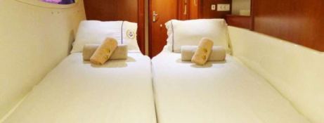 Robertson & Caines Leopard  444 11