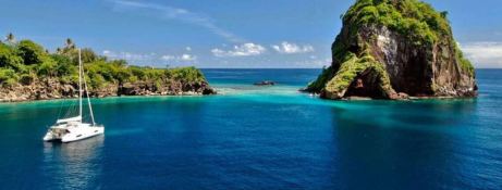 Robertson & Caines Leopard  444 4