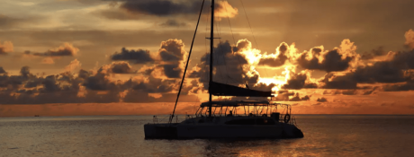 Seawind Catamaran Seawind 11.60 5