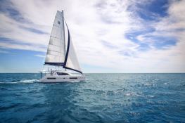 Robertson & Caines Leopard  4000 3