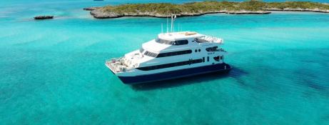 Custom Power Cat 31M 0