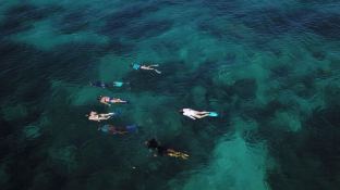 Custom Trimaran 52 5