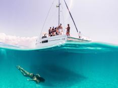 Black Swan  Robertson & Caines Leopard  4800 Exterior 4