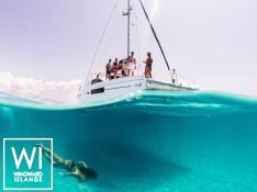 Black Swan  Robertson & Caines Leopard  4800 Exterior 4