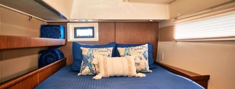 Second Star  Robertson & Caines Leopard  4800 Interior 17