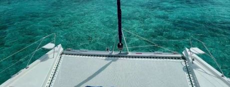 Second Star  Robertson & Caines Leopard  4800 Exterior 8