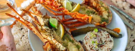 AMARI  Lagoon Catamaran Lagoon 450 Exterior 11