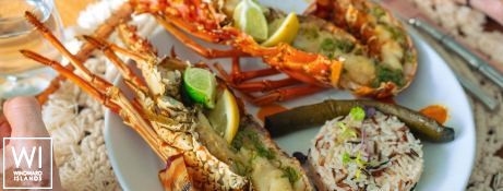 AMARI  Lagoon Catamaran Lagoon 450 Exterior 11