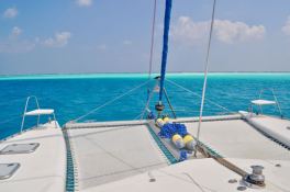 SAILFISH  Knysna Catamaran Knysna 480 Exterior 7