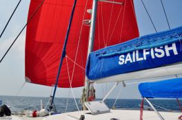 SAILFISH  Knysna Catamaran Knysna 480 Exterior 8