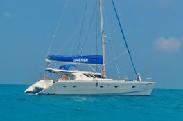 SAILFISH  Knysna Catamaran Knysna 480 Exterior 1