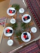 SAILFISH  Knysna Catamaran Knysna 480 Exterior 6