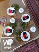 SAILFISH  Knysna Catamaran Knysna 480 Exterior 6