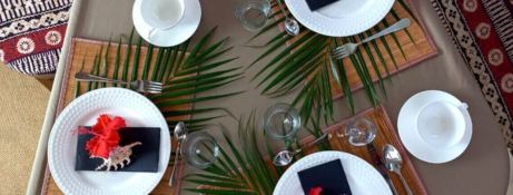 XXX  Knysna Catamaran Knysna 480 Exterior 6