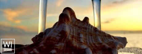 XXX  Knysna Catamaran Knysna 480 Exterior 7