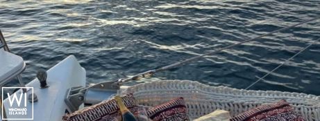 XXX  Knysna Catamaran Knysna 480 Exterior 8