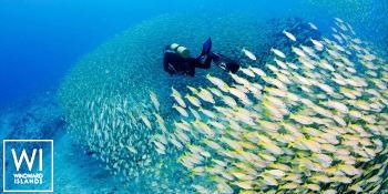 S.Y SEA PEARL   Schooner SCS 35M Exterior 4