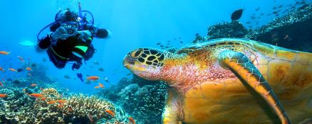 S.Y SEA PEARL   Schooner SCS 35M Exterior 12