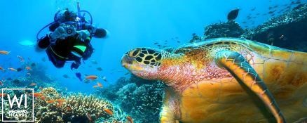 S.Y SEA PEARL   Schooner SCS 35M Exterior 12