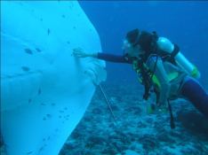 S.Y SEA PEARL   Schooner SCS 35M Exterior 13