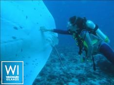 S.Y SEA PEARL   Schooner SCS 35M Exterior 13