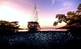 Seahorse  Turkish Gulet Gulet Scuba 30M Exterior 7