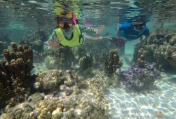 ORION  Sunreef Yachts Sail 74' Interior 16