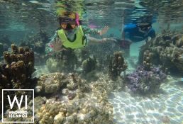 ORION  Sunreef Yachts Sail 74' Interior 16